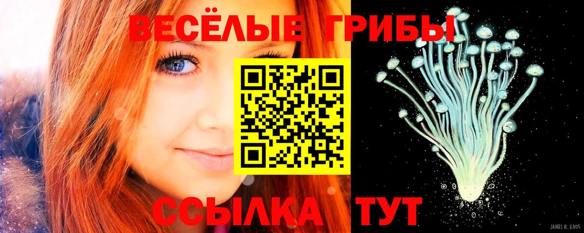 Галлюциногенные грибы Psilocybe  Вход с VPN  купить наркоту  Карталы  Псилоцибиновые грибы Cubensis 