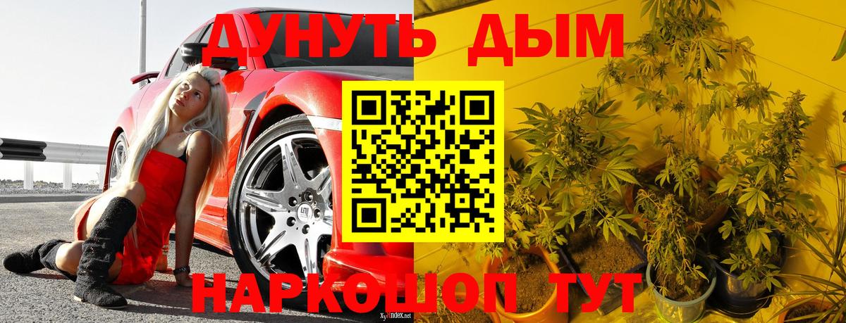 Конопля планчик Карталы
